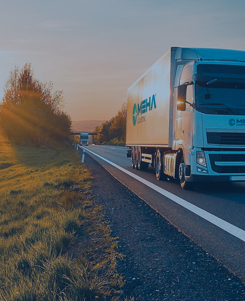 Soğuk Zincir Lojistiği